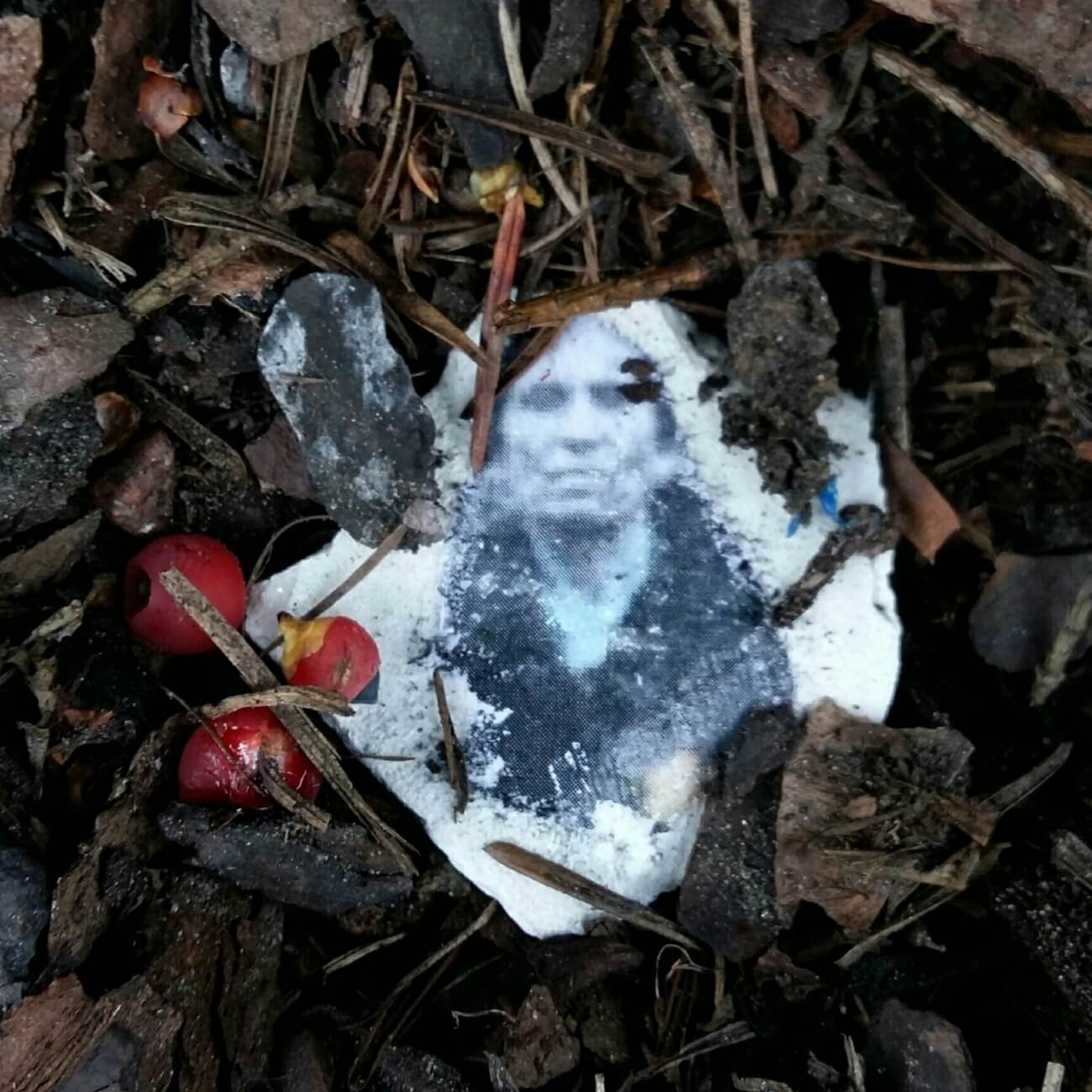 Patrycja Dołowy "Widoczki"