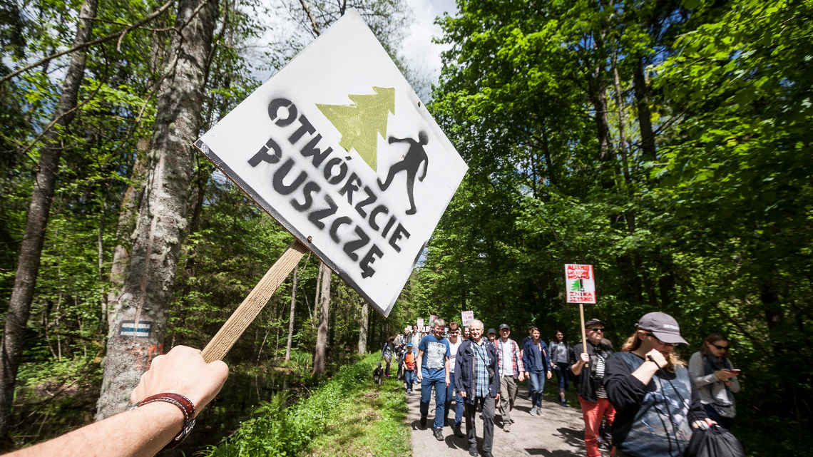 puszcza-bialowieska-czerwiec2017
